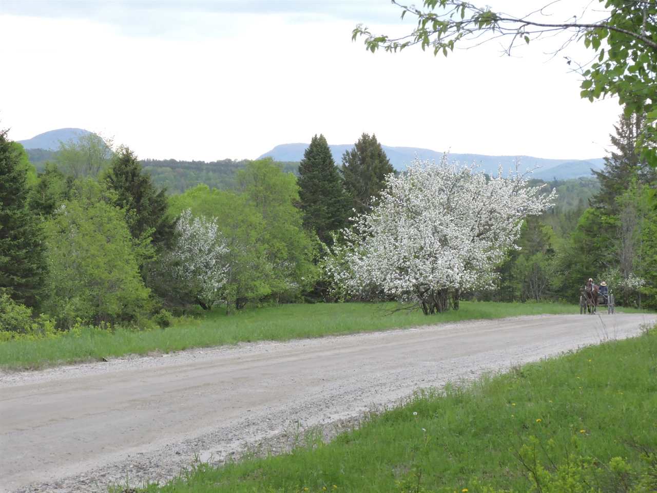 2699 Ticehurst Road Brownington, VT 05860 - Photo 15 of 17