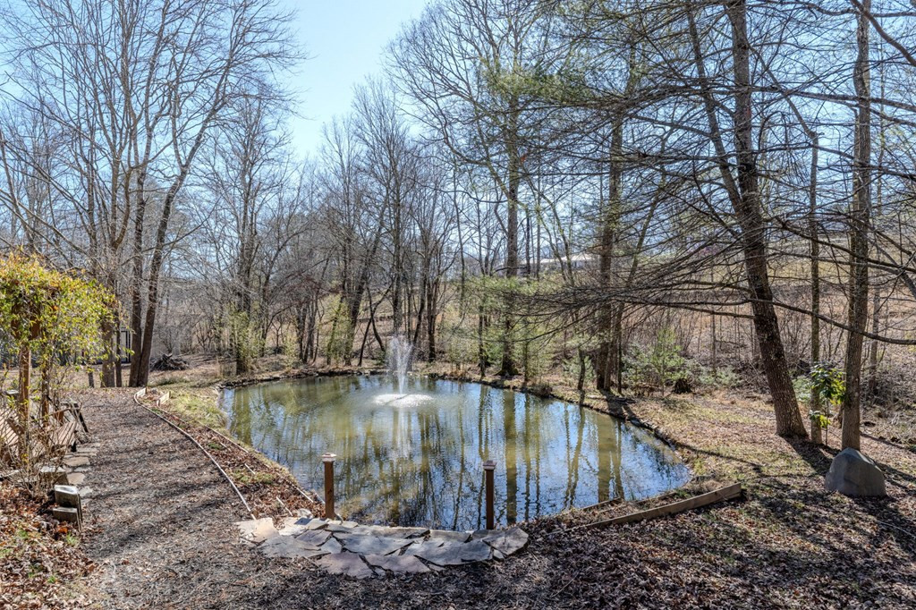 214 Hedden Road Murphy, NC 28906 - Photo 51 of 65