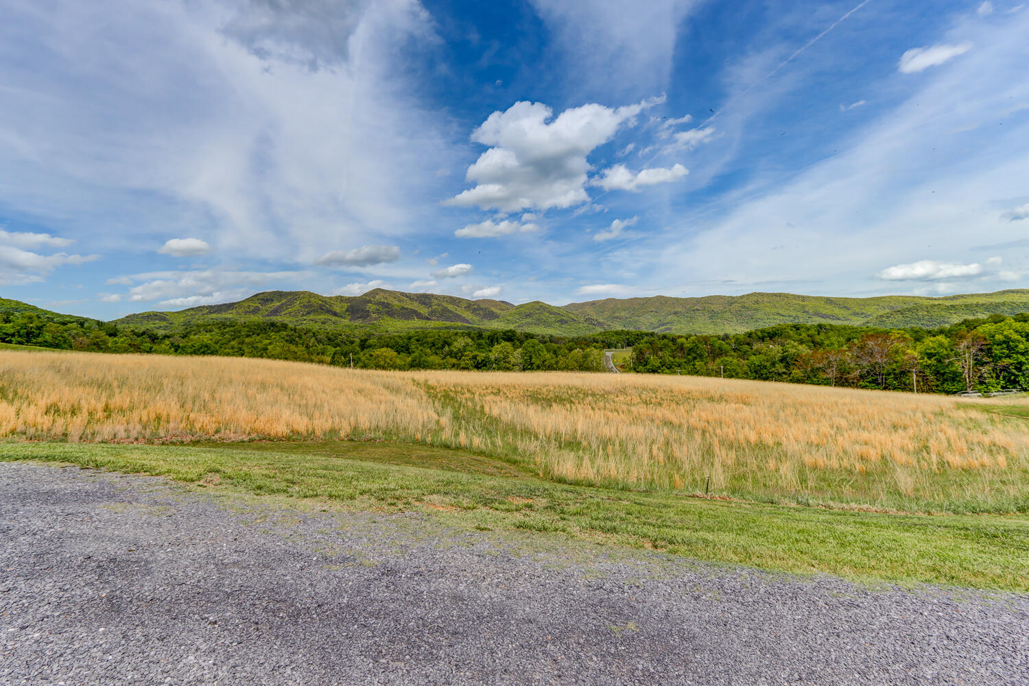 11790 Narrow Passage Road Eagle Rock, VA 24085 - Photo 40 of 54 IMG_0191_2_3_4_5