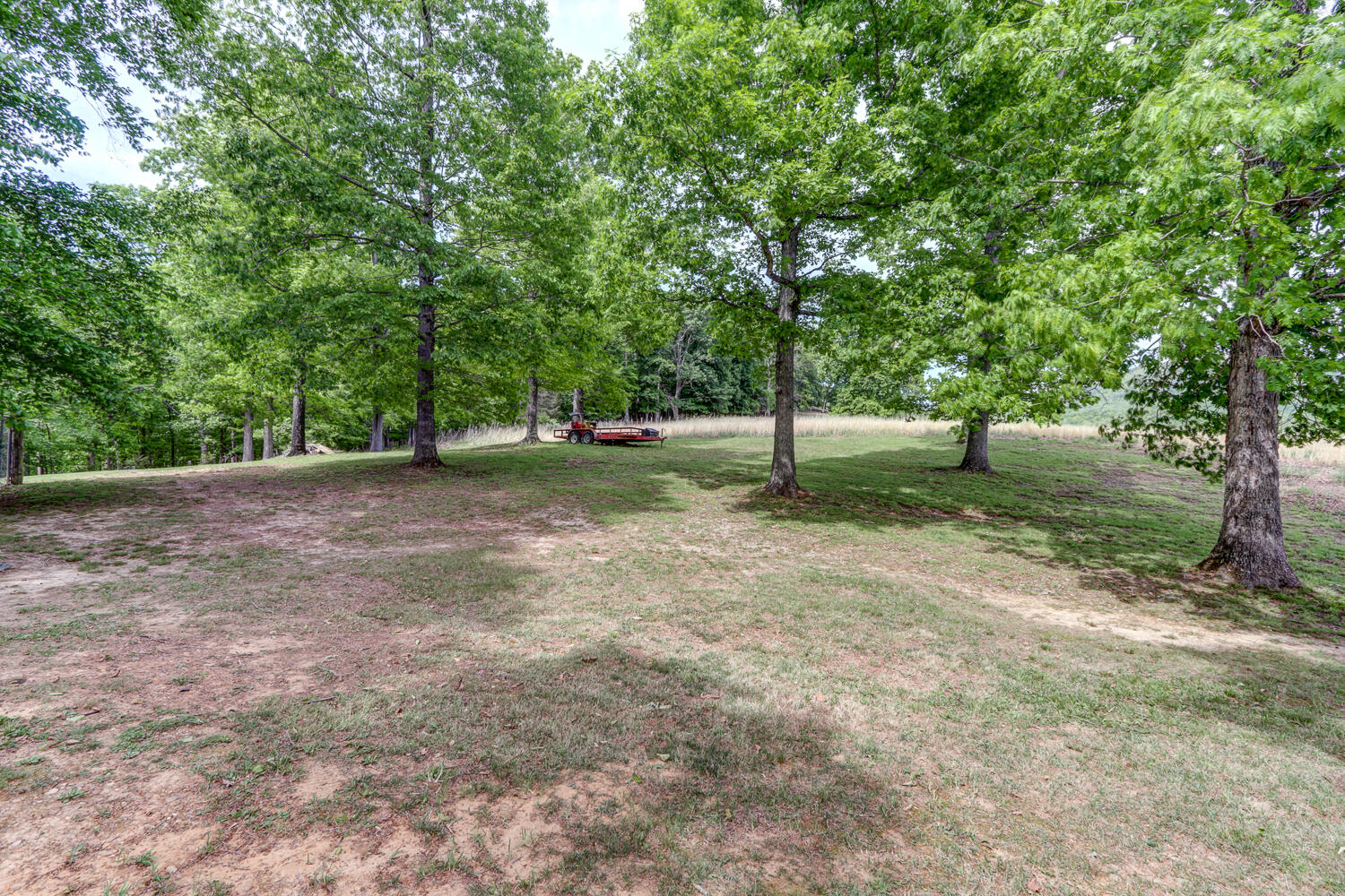 11790 Narrow Passage Road Eagle Rock, VA 24085 - Photo 51 of 54 IMG_0261_2_3_4_5