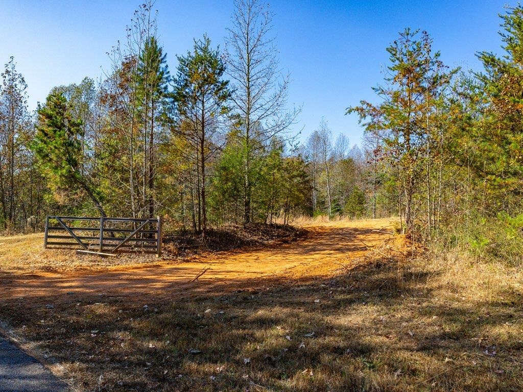 0 Cole Road Campobello, SC 29322 - Photo 1 of 12