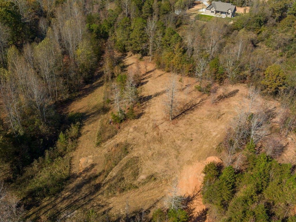 0 Cole Road Campobello, SC 29322 - Photo 11 of 12