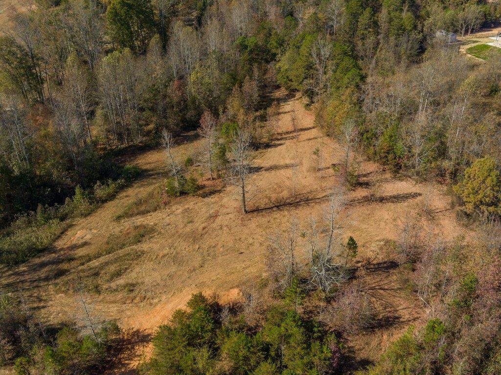 0 Cole Road Campobello, SC 29322 - Photo 12 of 12