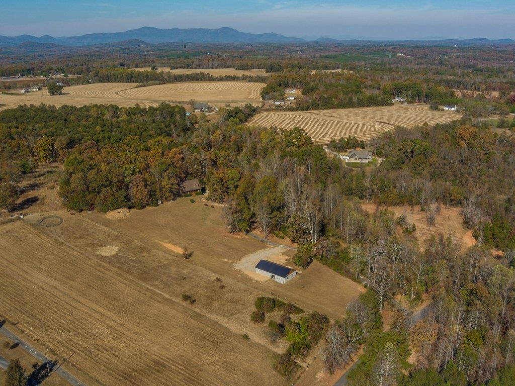 0 Cole Road Campobello, SC 29322 - Photo 3 of 12