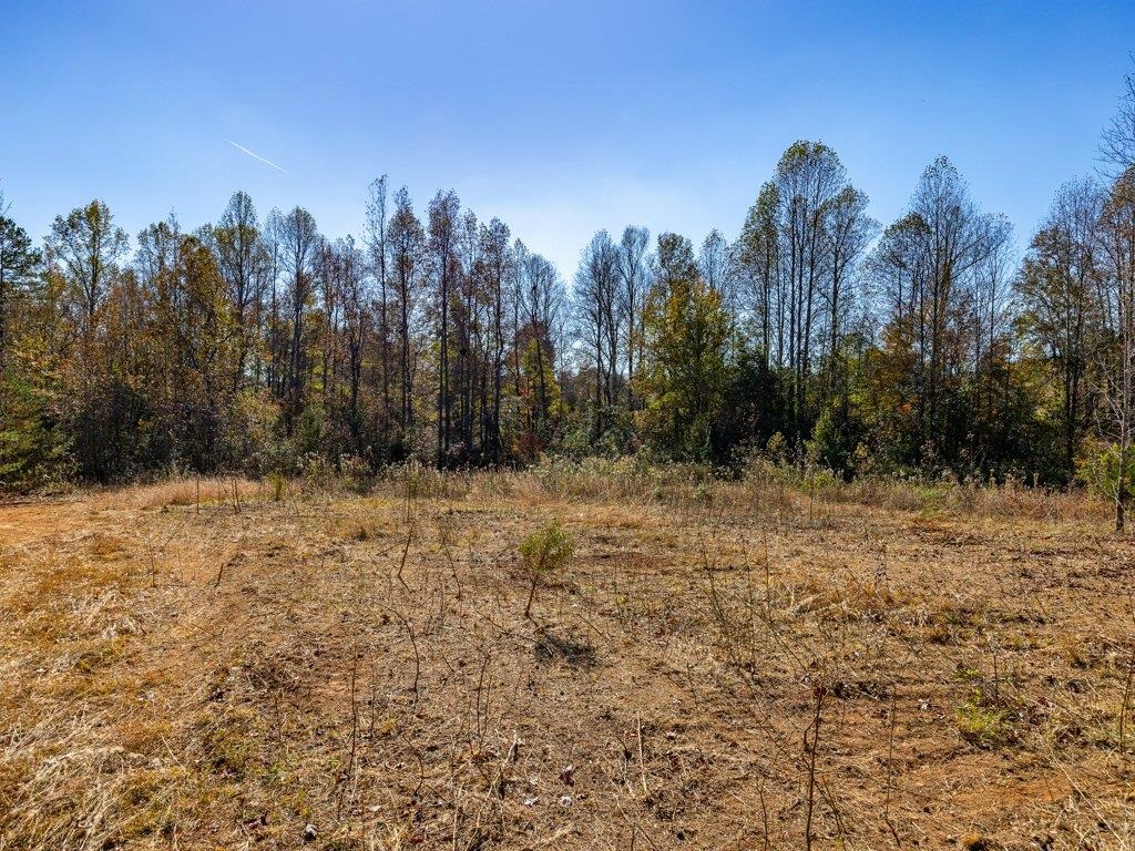0 Cole Road Campobello, SC 29322 - Photo 6 of 12