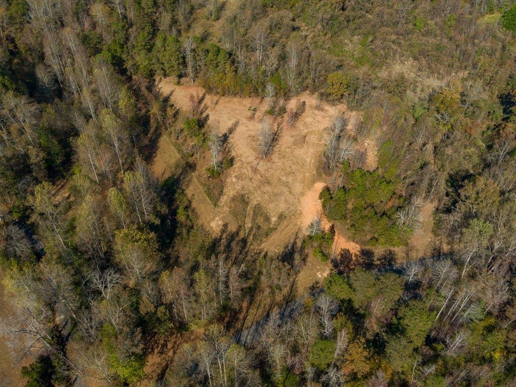 0 Cole Road Campobello, SC 29322 - Photo 7 of 12
