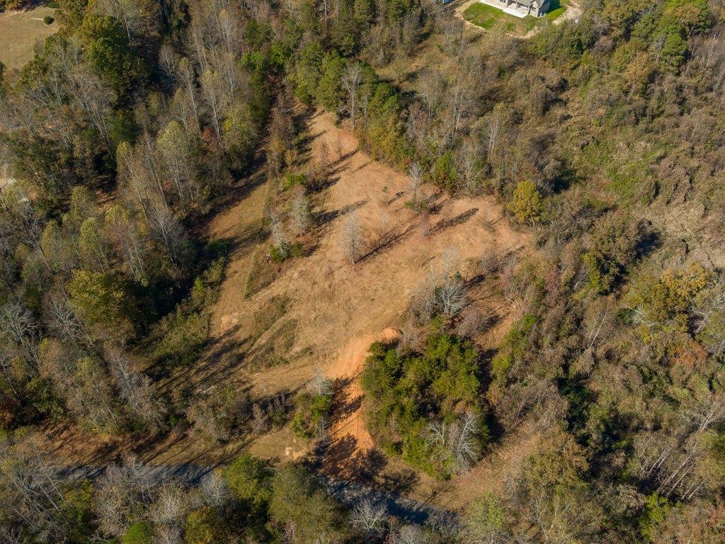 0 Cole Road Campobello, SC 29322 - Photo 8 of 12