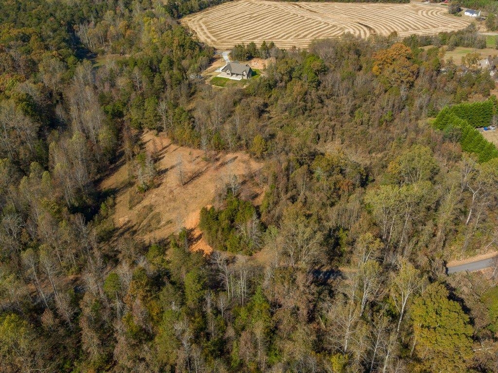 0 Cole Road Campobello, SC 29322 - Photo 10 of 12