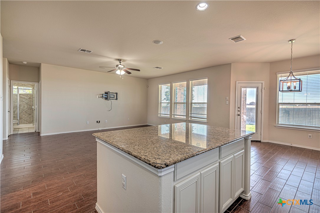 9207 Lake Pointe Drive Temple, TX 76502 - Photo 12 of 42 a view of kitchen and windows