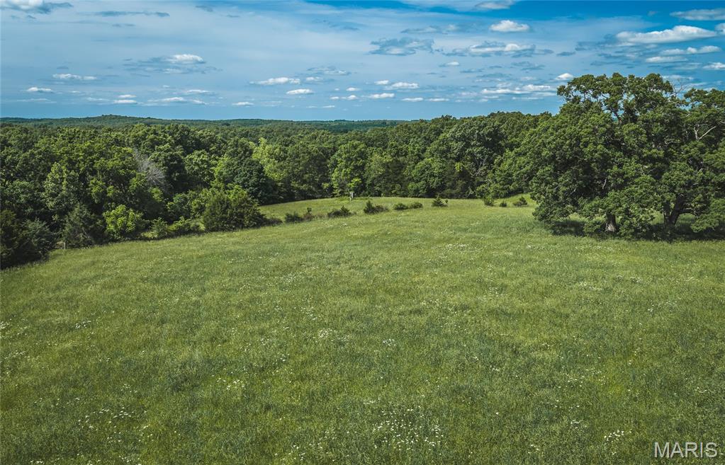 21269 Bangor Road Crocker, MO 65452 - Photo 18 of 27