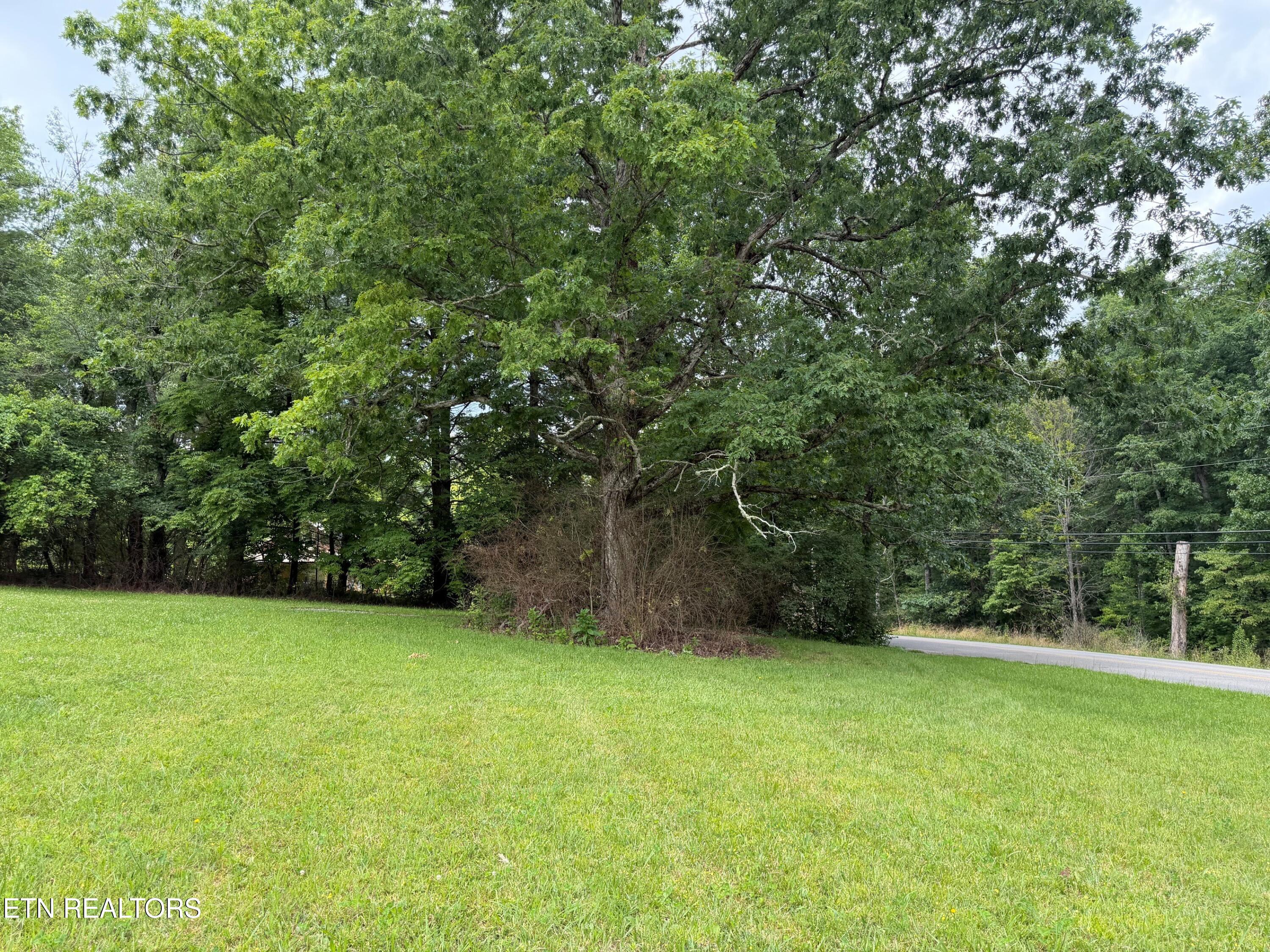 424 Cook Road Crossville, TN 38555 - Photo 2 of 7 424 Cook Road ext lot2