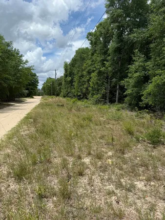 $60,000 | Tbd Christopher Lane, Crestview, FL 32539