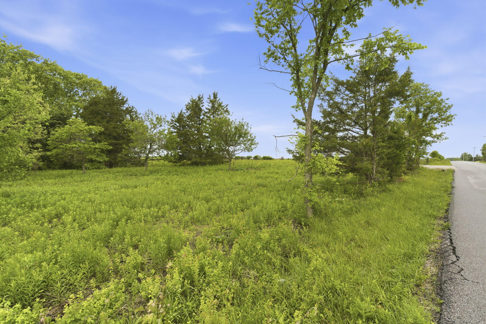 0 Chicory Road, Unit TRACT 2 Rogersville, MO 65742 - Photo 2 of 5 2-web-or-mls-DSC09586-2