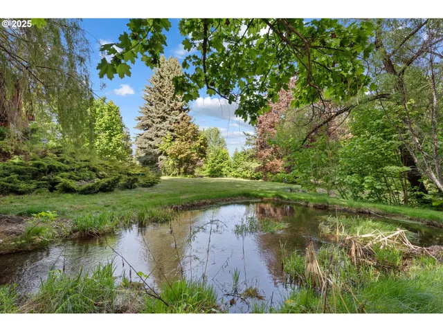 a view of a garden with a tree