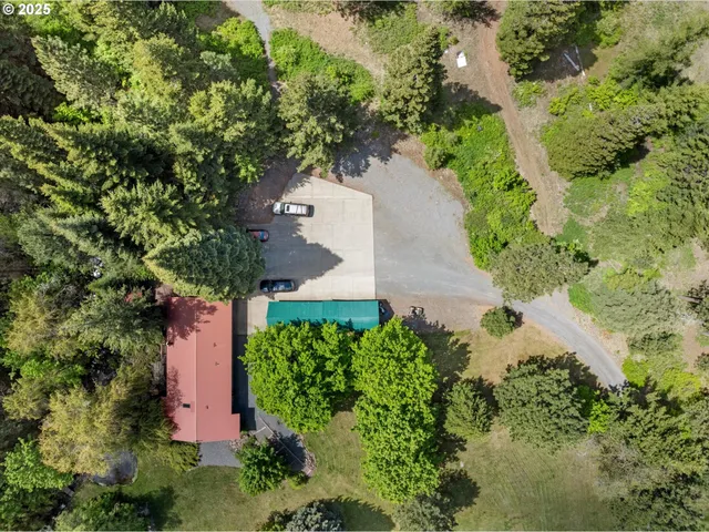 a view of a yard with a tree