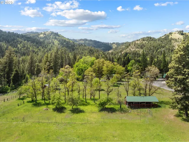 a view of a forest with a sink