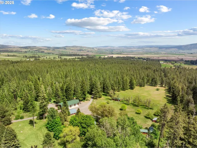 a view of an ocean and a mountain