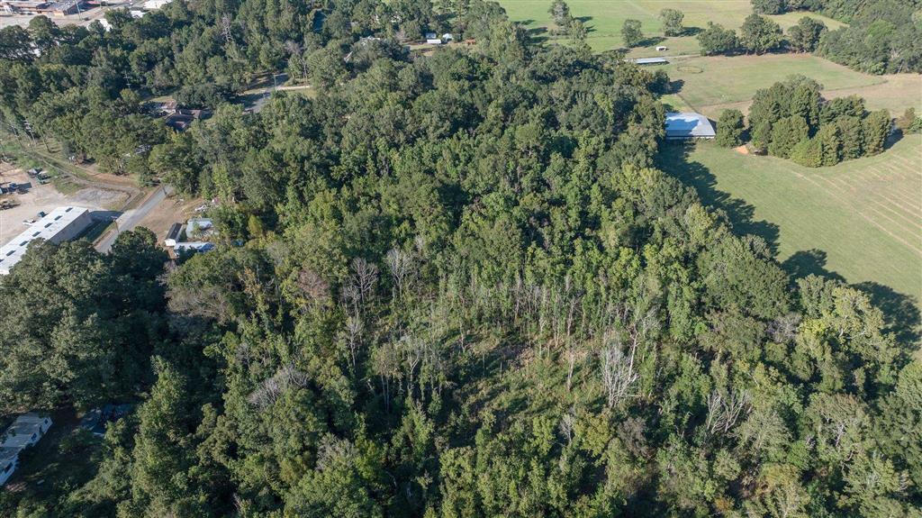 201 Red Town Road Leesville, LA 71446 - Photo 3 of 4