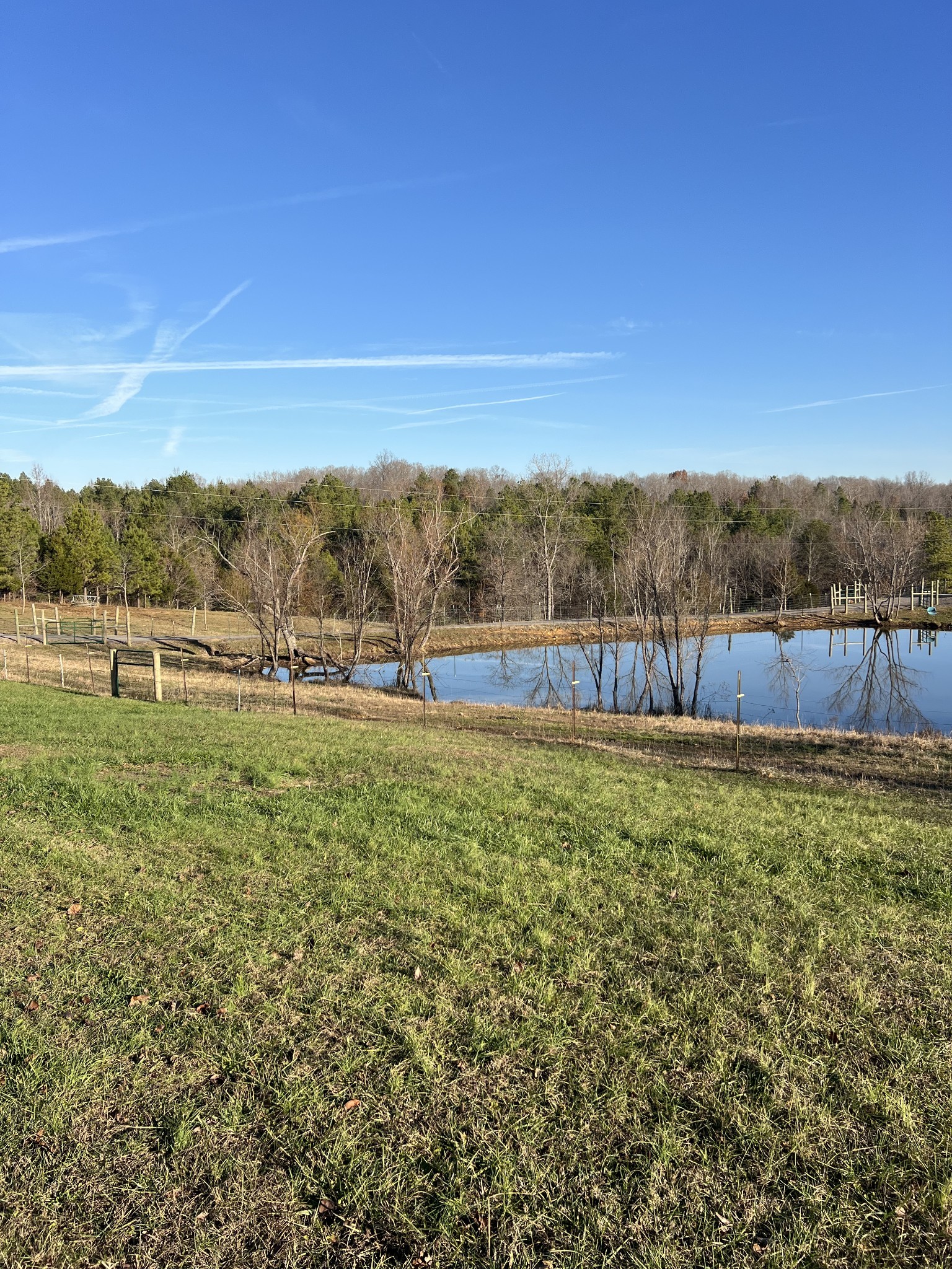 416 Walker Ridge Road Big Rock, TN 37023 - Photo 23 of 25 a view of outdoor space and yard