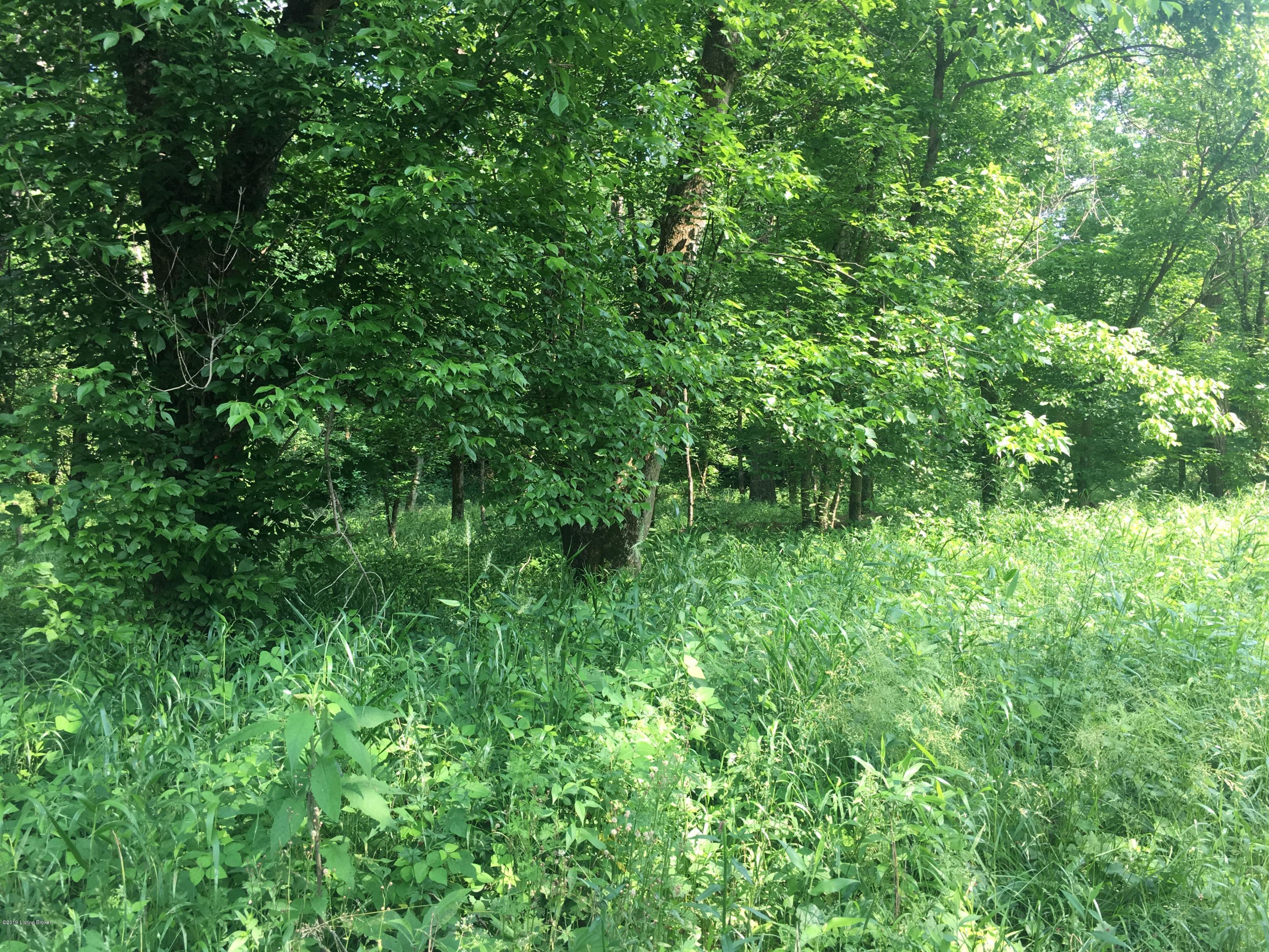 6 Mill Creek Road Carrollton, KY 41008 - Photo 15 of 29 IMG_3899