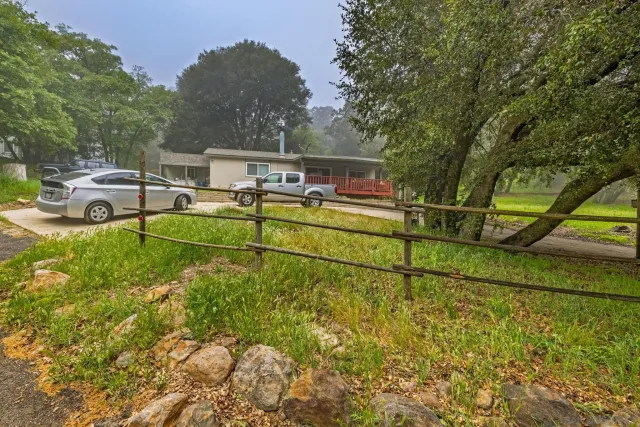 a view of a park with large trees