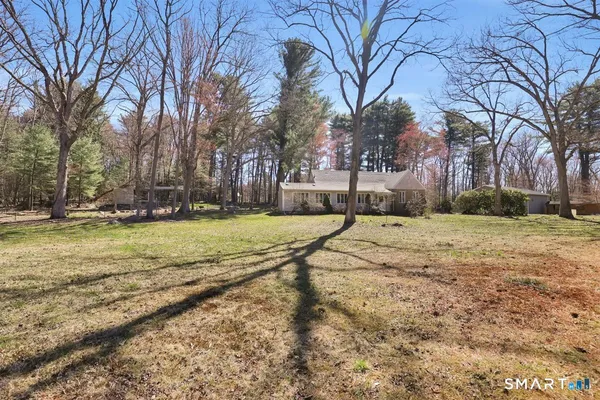 a view of yard with green space