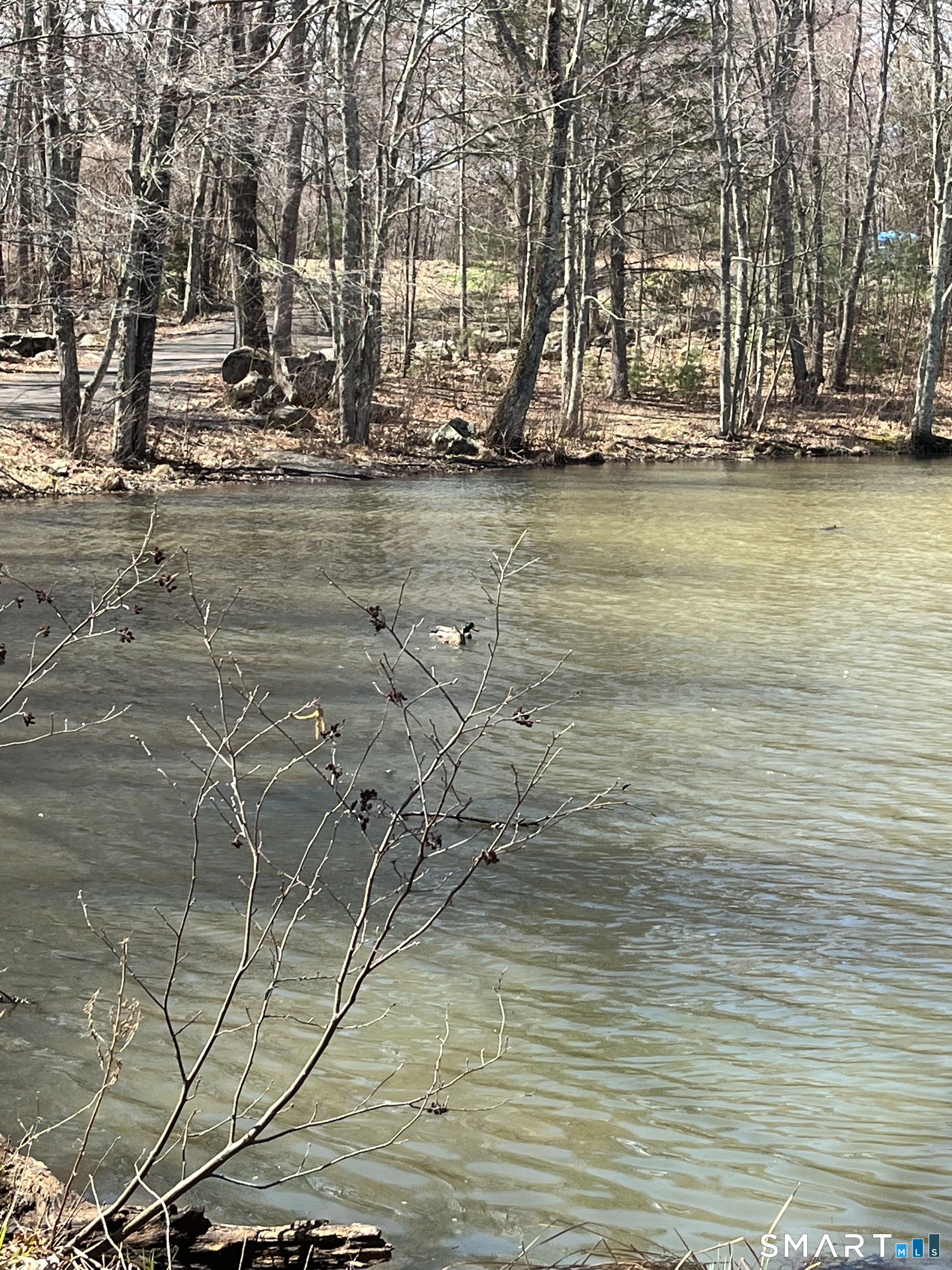 14 Scovill Road, Unit A Wolcott, CT 06716 - Photo 25 of 26