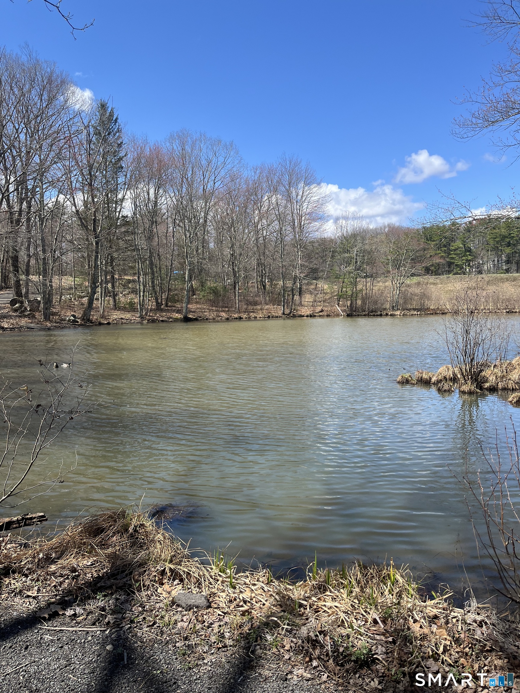 14 Scovill Road, Unit A Wolcott, CT 06716 - Photo 26 of 26