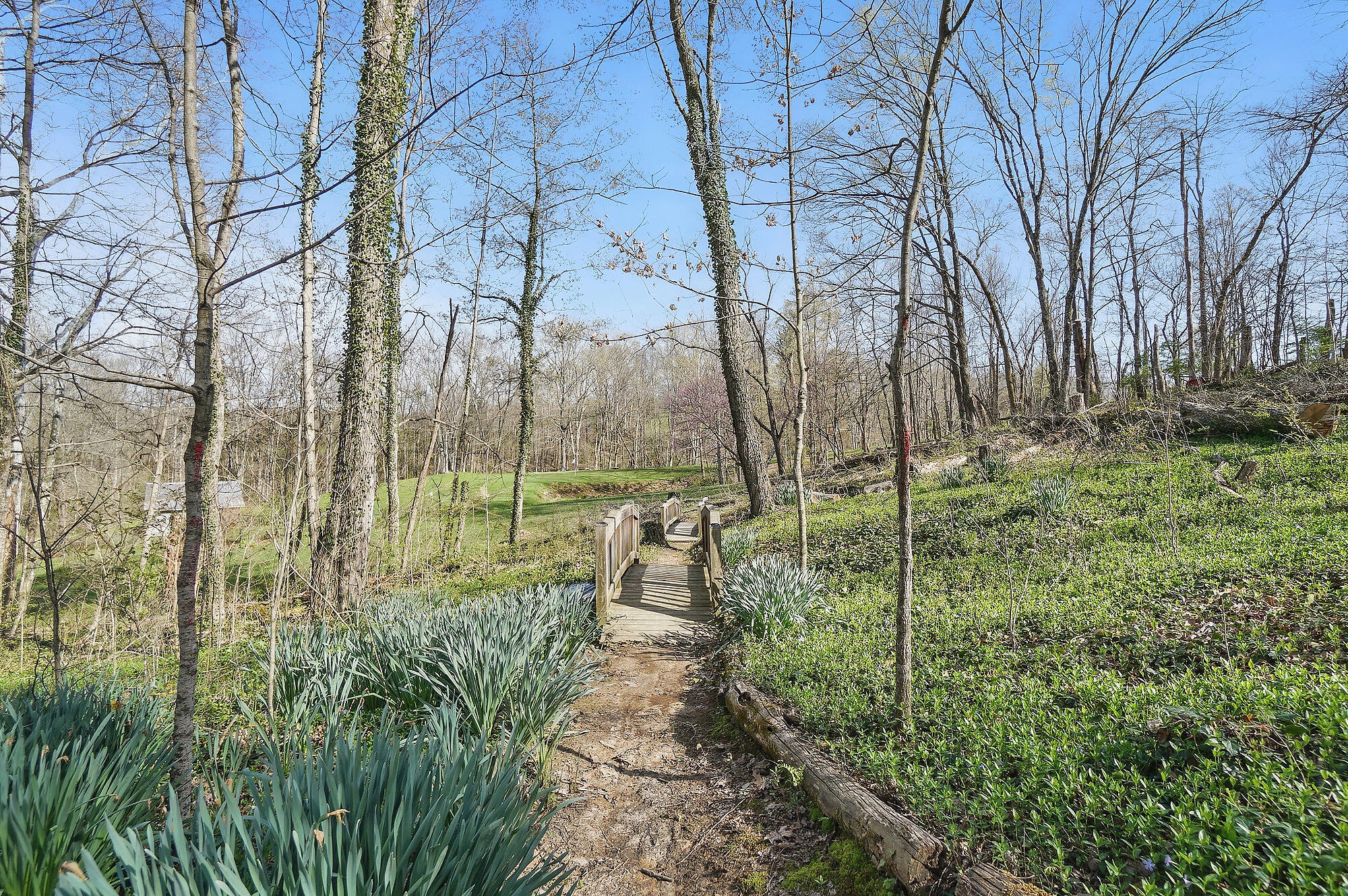 1635 Concord Road Verona, KY 41092 - Photo 37 of 44 097
