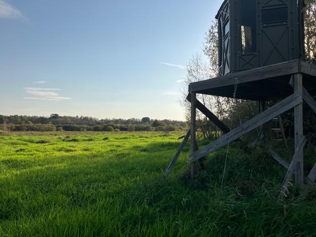 Tbd 395th Street North Branch, MN 55056 - Photo 11 of 17