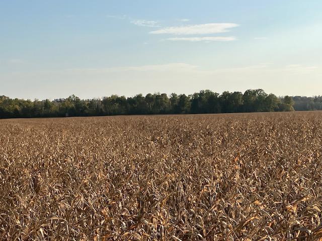 Tbd 395th Street North Branch, MN 55056 - Photo 14 of 17