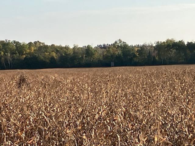Tbd 395th Street North Branch, MN 55056 - Photo 15 of 17