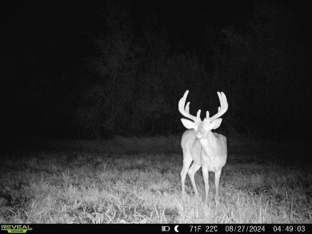 Tbd 395th Street North Branch, MN 55056 - Photo 17 of 17