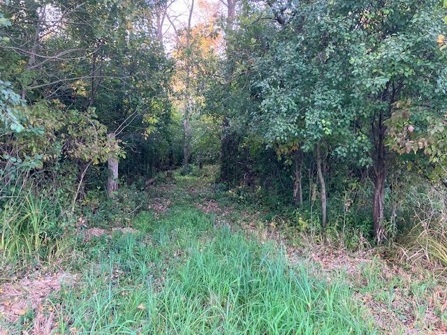 Tbd 395th Street North Branch, MN 55056 - Photo 3 of 17