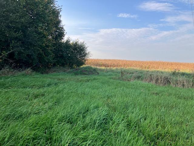 Tbd 395th Street North Branch, MN 55056 - Photo 8 of 17