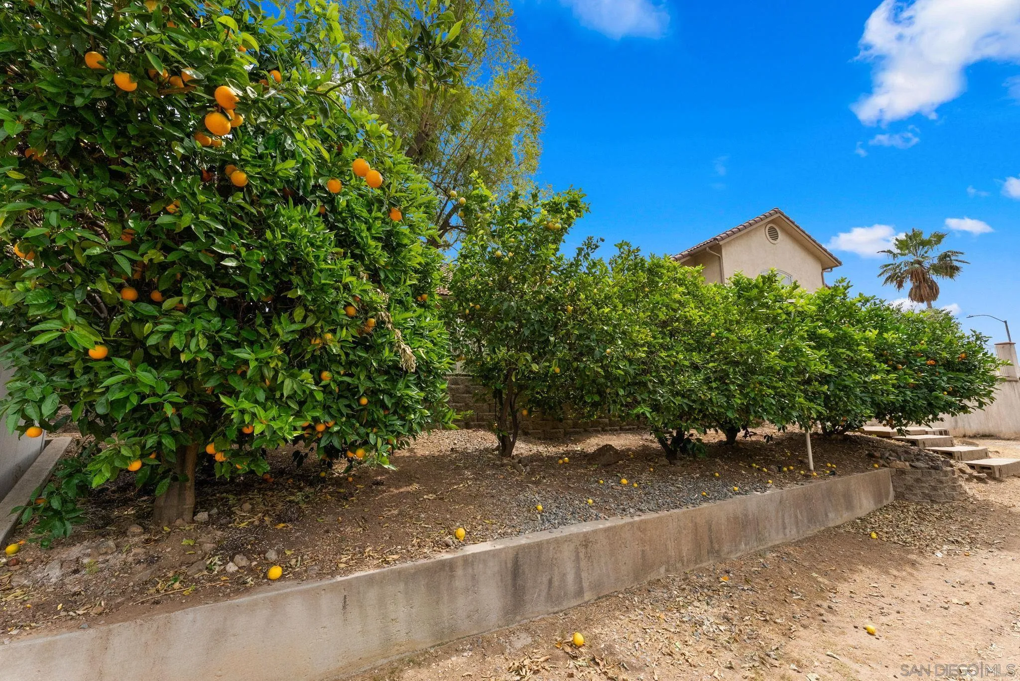 15945 Shalom Road Ramona, CA 92065 - Photo 67 of 73
