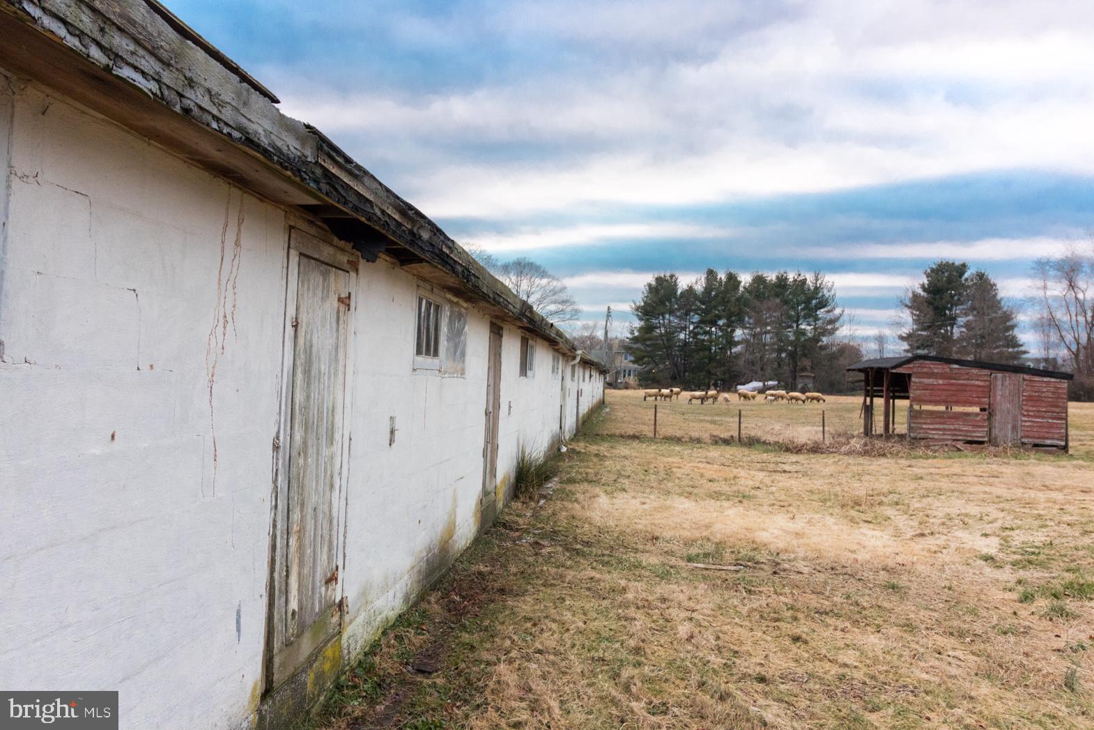 250 Extonville Road Allentown, NJ 08501 - Photo 30 of 61 Chicken/Sheep Building