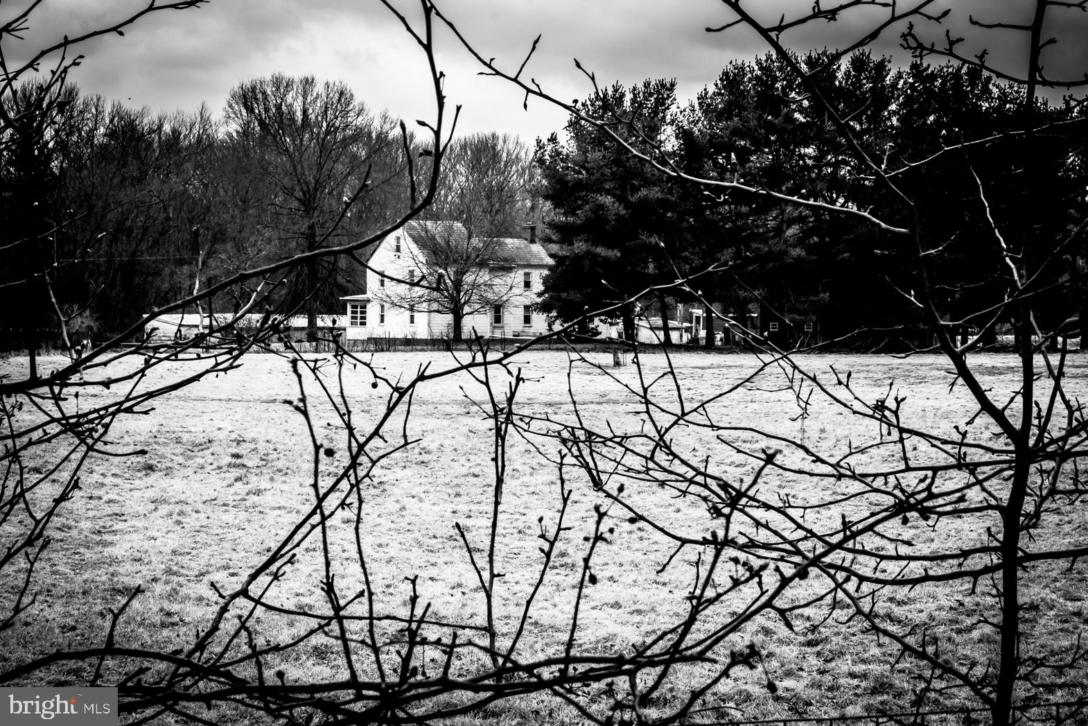 250 Extonville Road Allentown, NJ 08501 - Photo 39 of 61 Artist's Classic Portrait: Home