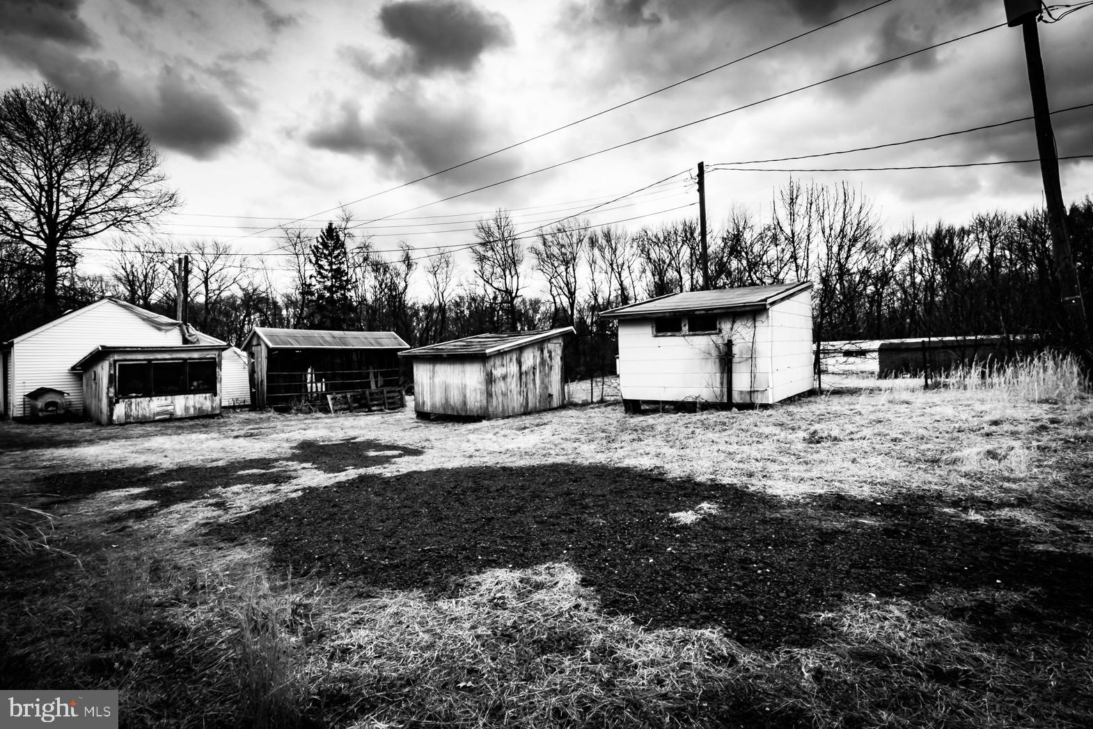 250 Extonville Road Allentown, NJ 08501 - Photo 43 of 61 Artist's Classic Portrait: Homestead