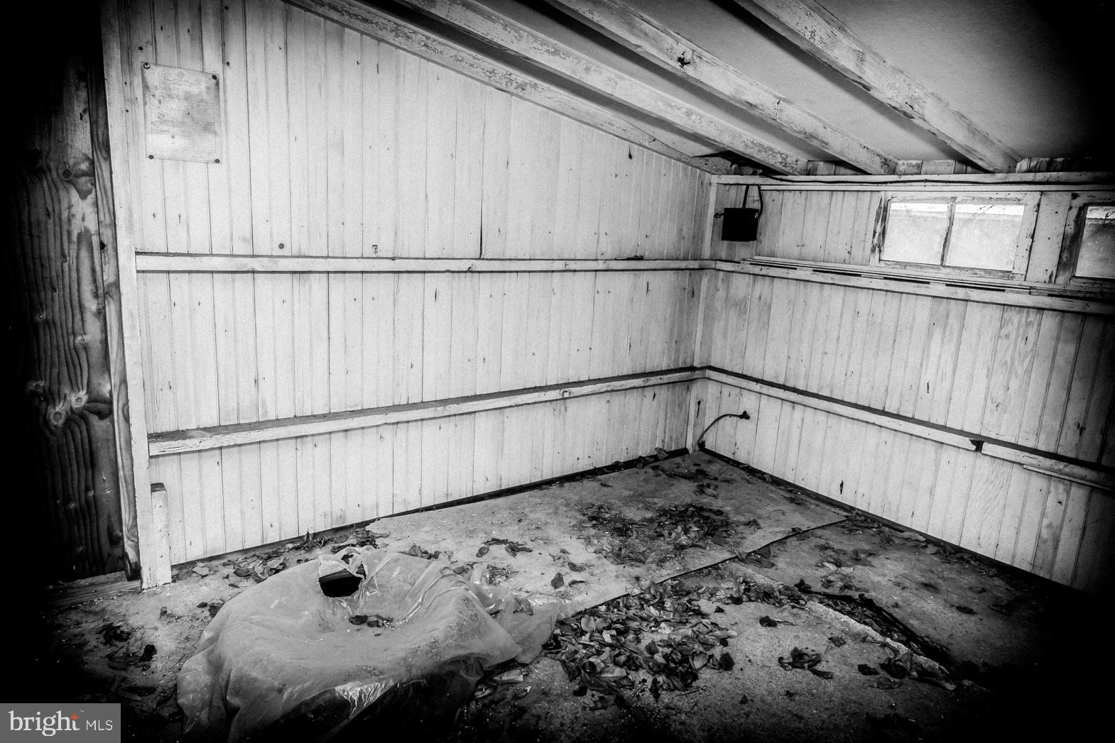 250 Extonville Road Allentown, NJ 08501 - Photo 44 of 61 Artist's Classic Portrait: Shearing