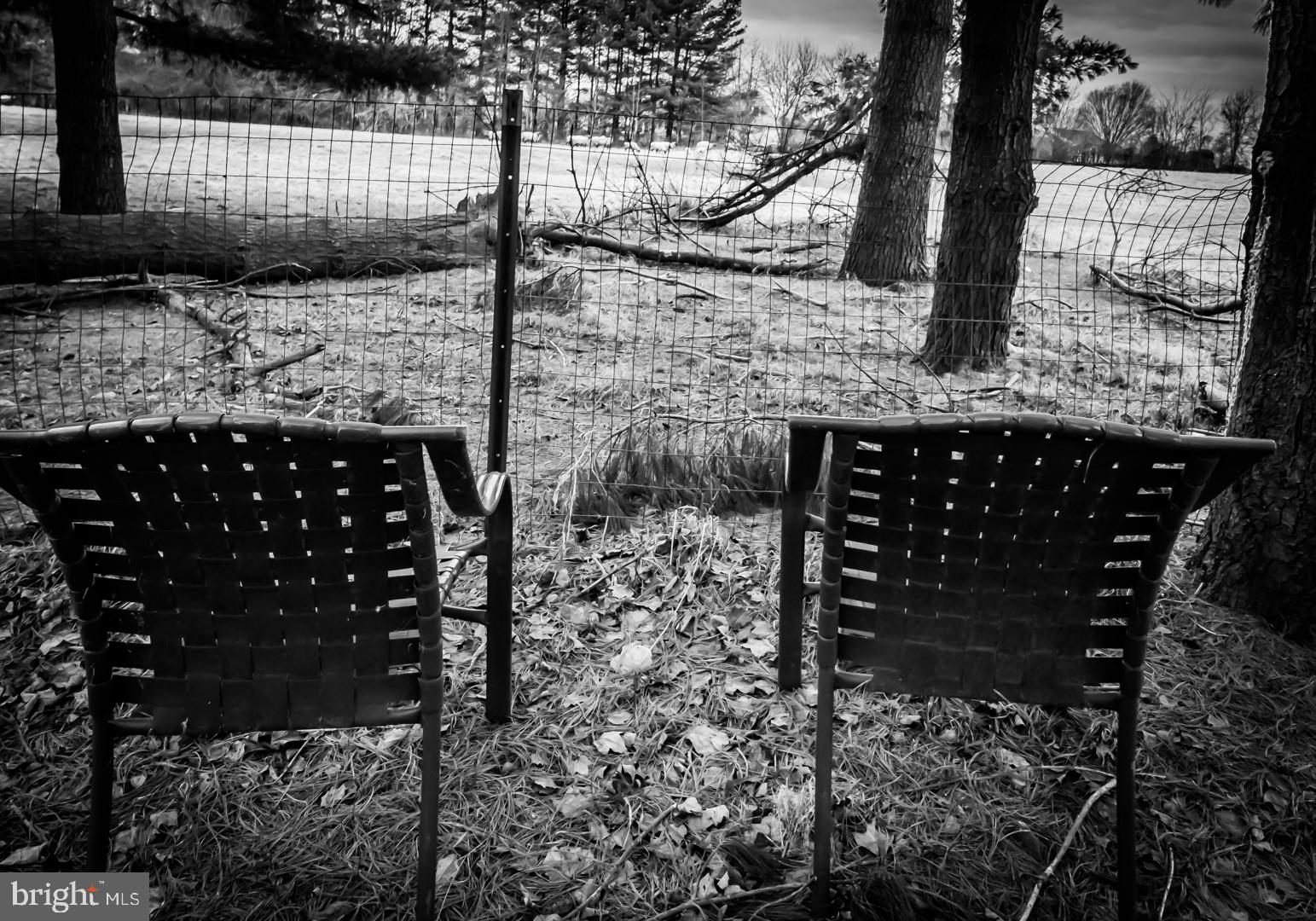 250 Extonville Road Allentown, NJ 08501 - Photo 46 of 61 Artist's Classic Portrait: Sheep Theatre