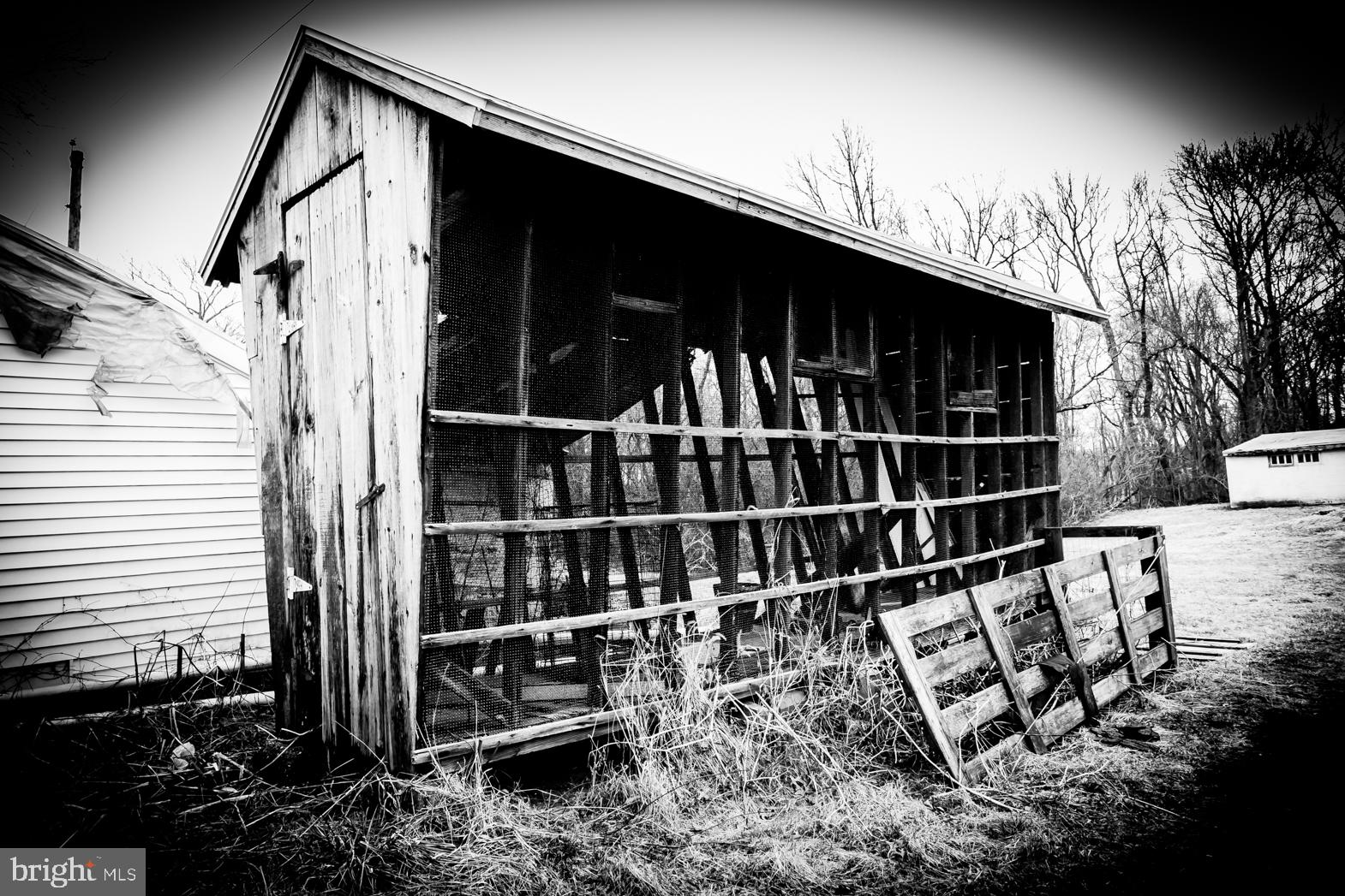 250 Extonville Road Allentown, NJ 08501 - Photo 50 of 61 Artist's Classic Portrait: Grains