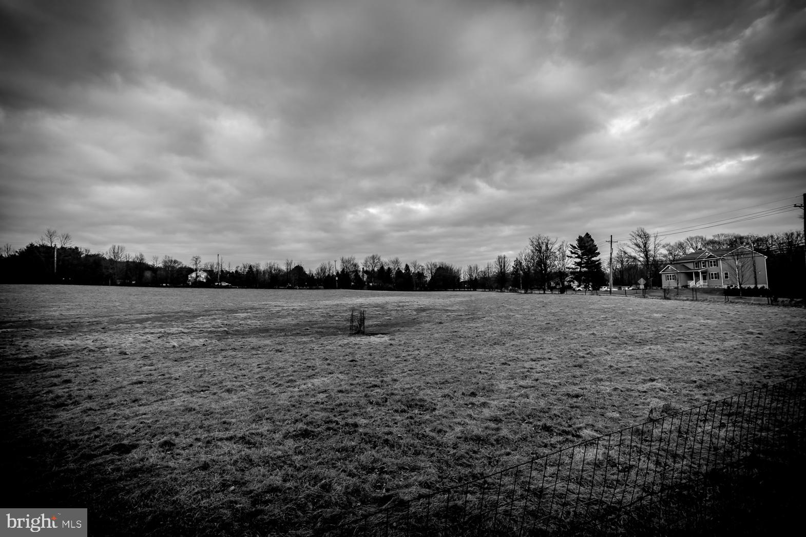 250 Extonville Road Allentown, NJ 08501 - Photo 51 of 61 Artist's Classic Portrait: Solitary