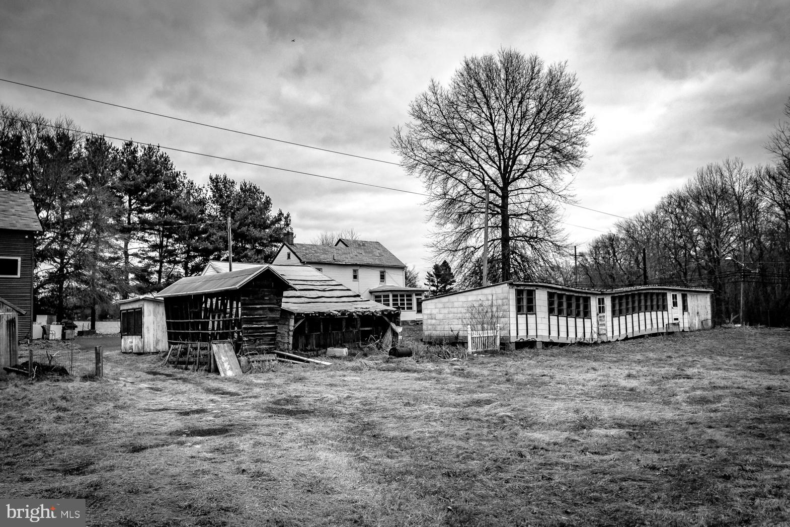 250 Extonville Road Allentown, NJ 08501 - Photo 56 of 61 Artist's Classic Portrait: Tree of Life