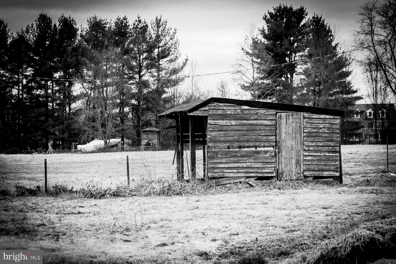 250 Extonville Road Allentown, NJ 08501 - Photo 58 of 61 Artist's Classic Portrait: Shelter