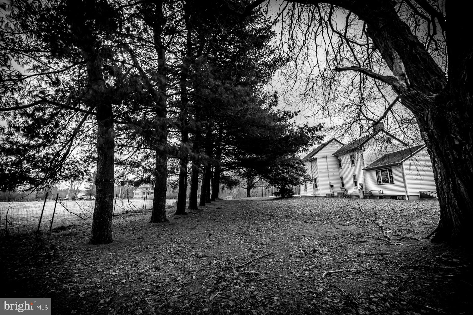 250 Extonville Road Allentown, NJ 08501 - Photo 60 of 61 Artist's Classic Portrait: The Pines