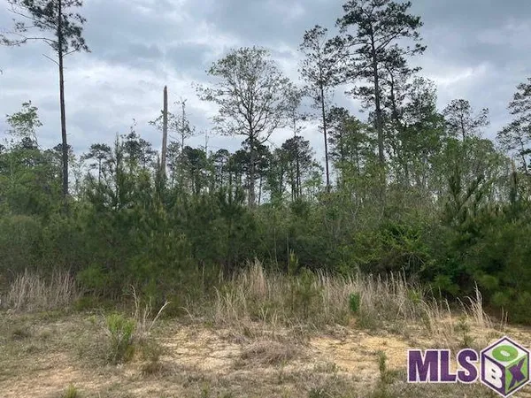 $100,000 | Tbd Lot B Teal McDaniel Road, Greensburg, LA 70441