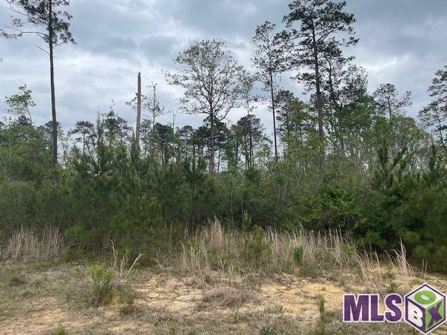 Tbd Lot B Teal McDaniel Road Greensburg, LA 70441 - Photo 1 of 5