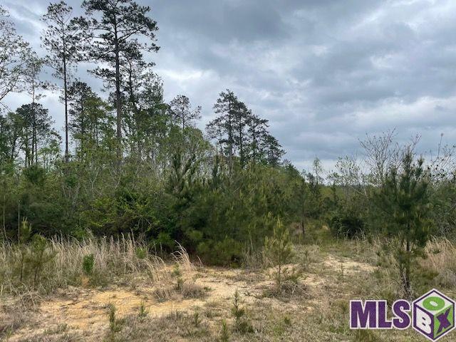 Tbd Lot B Teal McDaniel Road Greensburg, LA 70441 - Photo 2 of 5