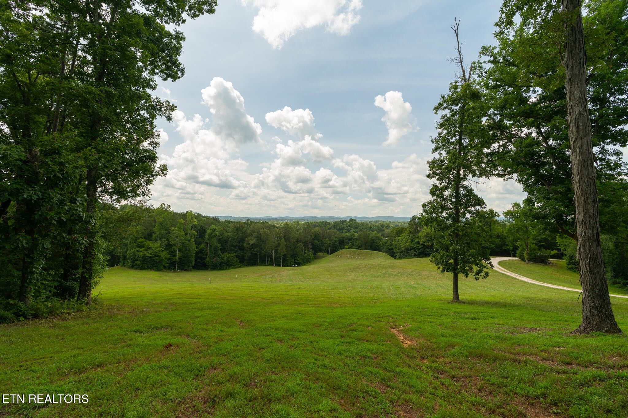 9050 Freeland Road Corryton, TN 37721 - Photo 14 of 34 a view of a trees with a yard